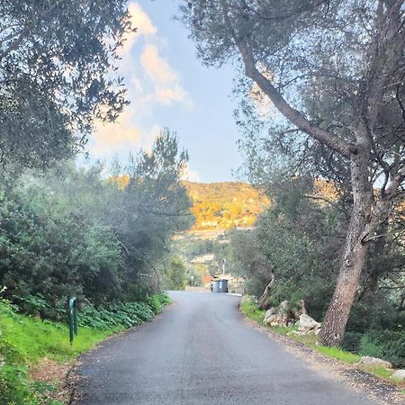 Le Mas D'Angeline, Vue Mer, Jardin Commun, Parking, Voiture Requise, 10 Min En Voiture De Monaco, Route Etroite, Pente Raide, Croisement Limite, Sea View, Shared Garden, Parking, Car Required, 10 Min Drive From Monaco, Narrow Steep Road, Limited Pass Beausoleil Esterno foto