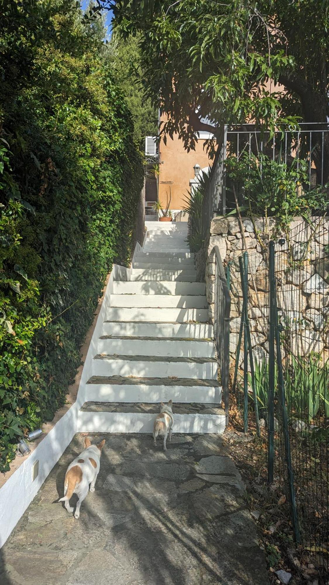 Le Mas D'Angeline, Vue Mer, Jardin Commun, Parking, Voiture Requise, 10 Min En Voiture De Monaco, Route Etroite, Pente Raide, Croisement Limite, Sea View, Shared Garden, Parking, Car Required, 10 Min Drive From Monaco, Narrow Steep Road, Limited Pass Beausoleil Esterno foto