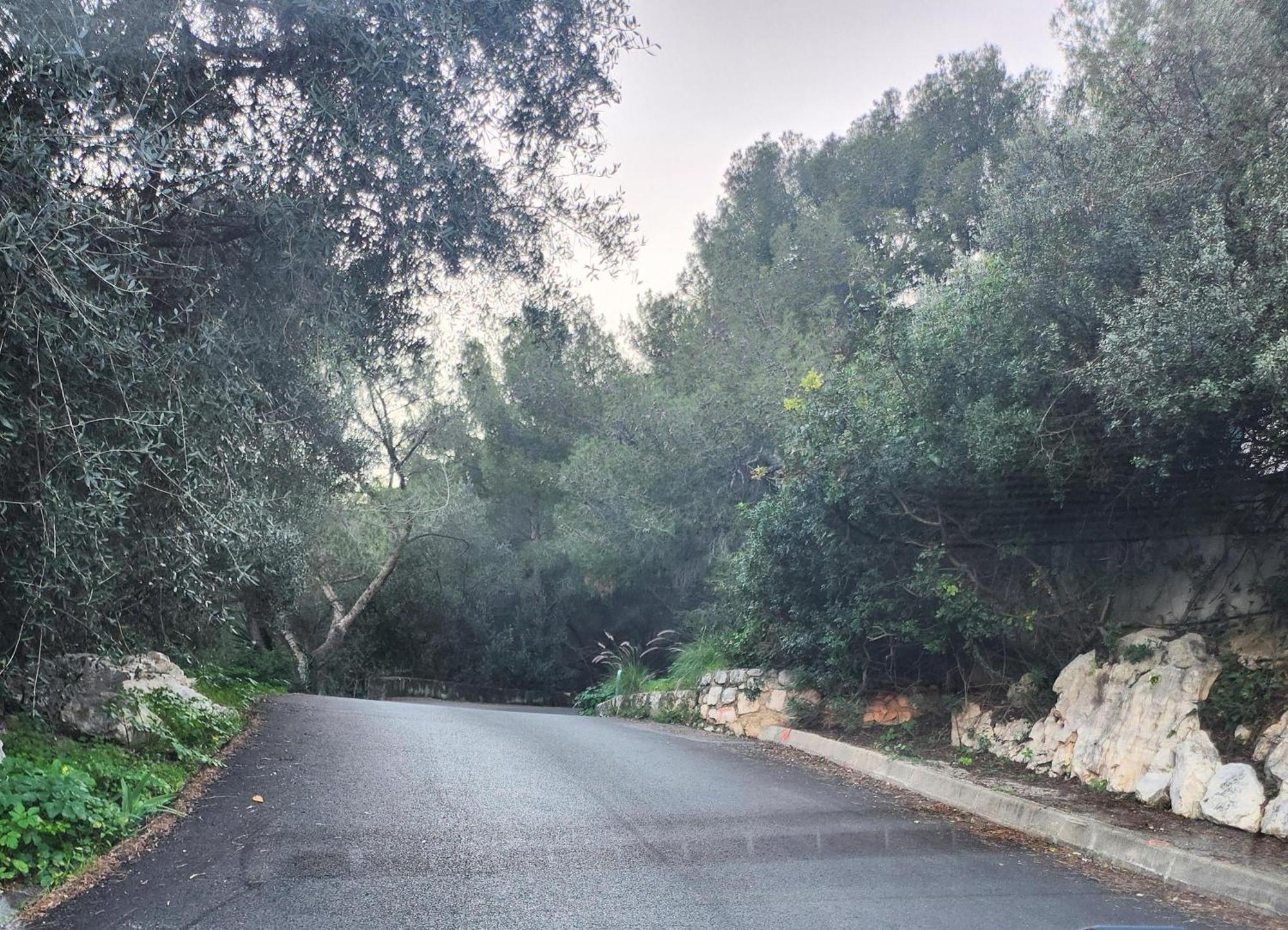 Le Mas D'Angeline, Vue Mer, Jardin Commun, Parking, Voiture Requise, 10 Min En Voiture De Monaco, Route Etroite, Pente Raide, Croisement Limite, Sea View, Shared Garden, Parking, Car Required, 10 Min Drive From Monaco, Narrow Steep Road, Limited Pass Beausoleil Esterno foto