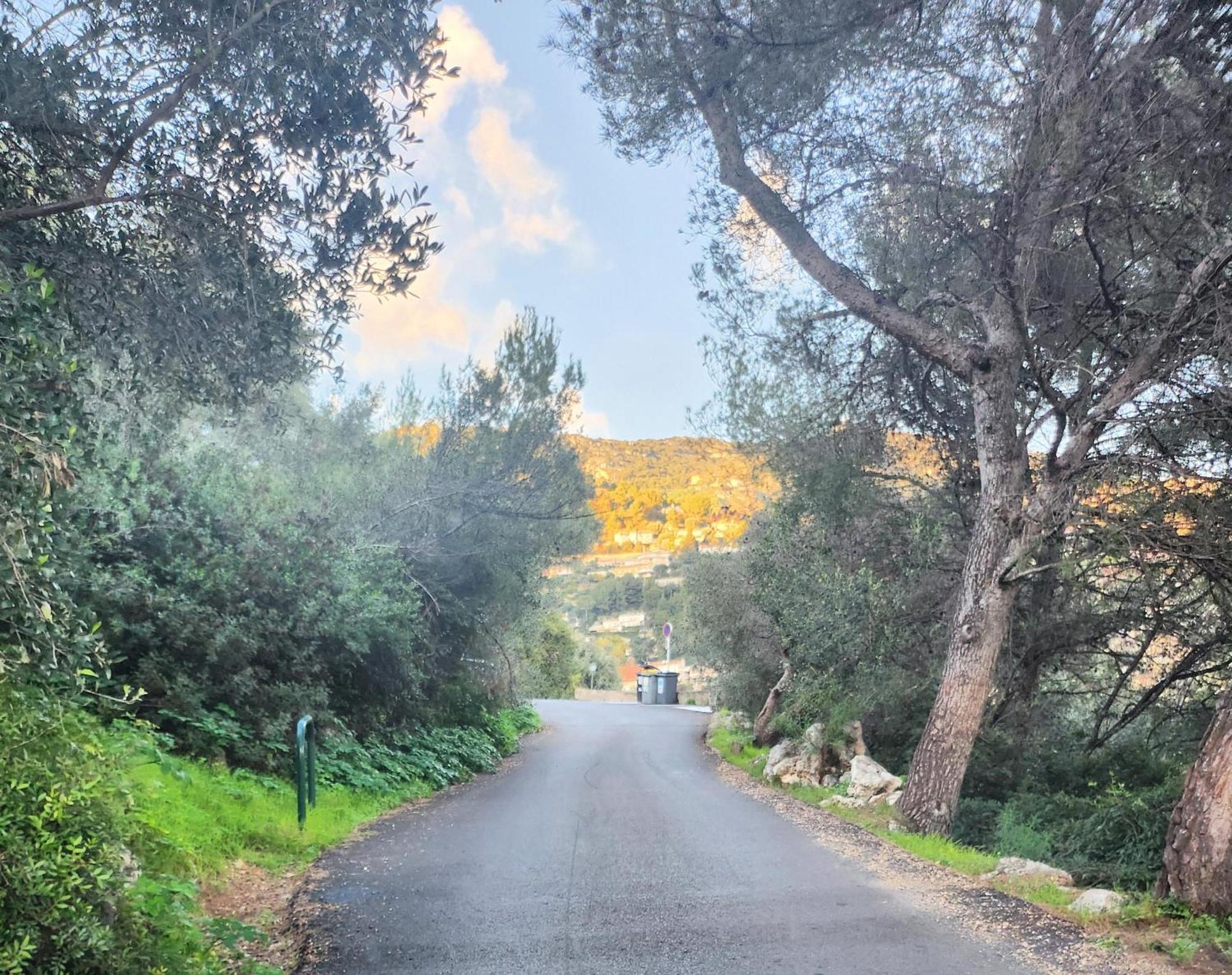 Le Mas D'Angeline, Vue Mer, Jardin Commun, Parking, Voiture Requise, 10 Min En Voiture De Monaco, Route Etroite, Pente Raide, Croisement Limite, Sea View, Shared Garden, Parking, Car Required, 10 Min Drive From Monaco, Narrow Steep Road, Limited Pass Beausoleil Esterno foto