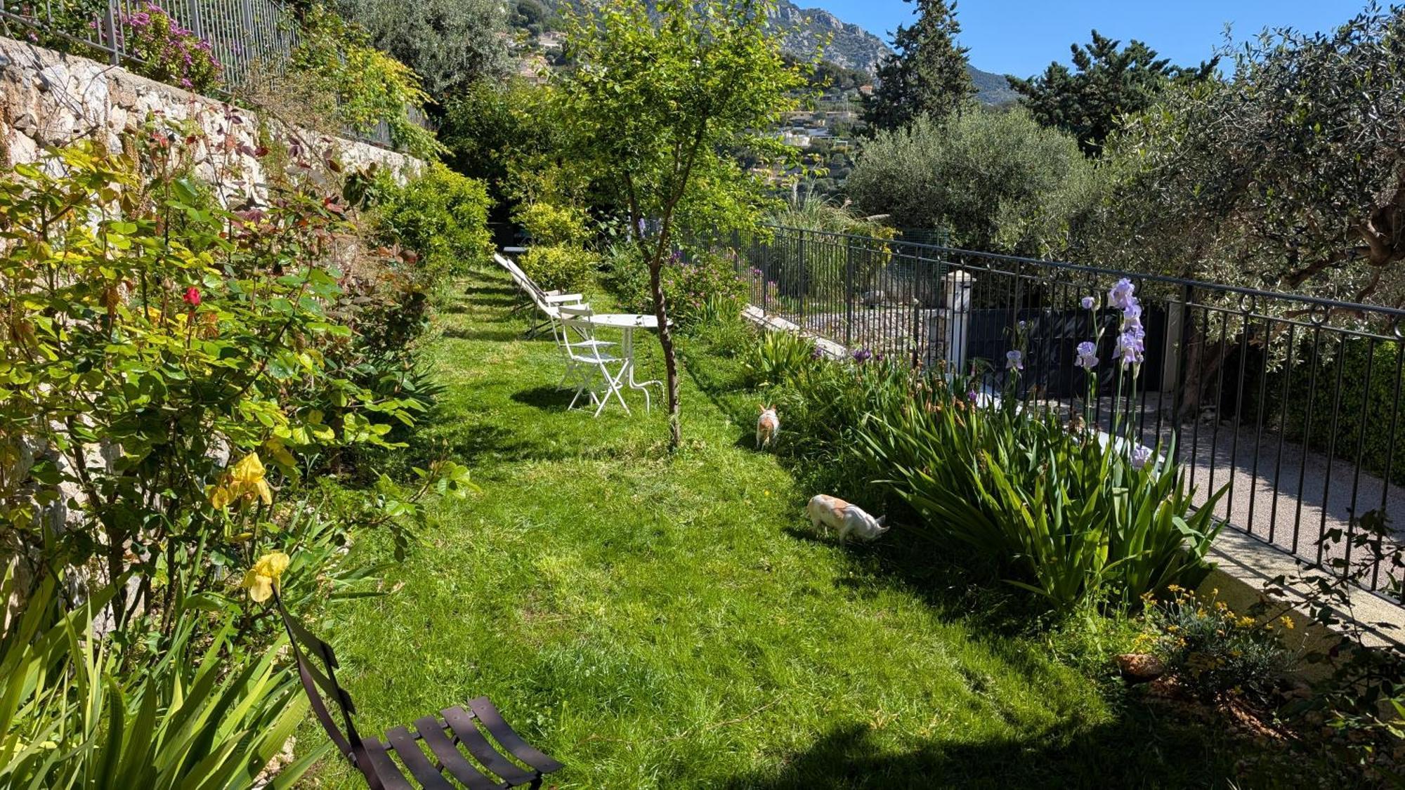 Le Mas D'Angeline, Vue Mer, Jardin Commun, Parking, Voiture Requise, 10 Min En Voiture De Monaco, Route Etroite, Pente Raide, Croisement Limite, Sea View, Shared Garden, Parking, Car Required, 10 Min Drive From Monaco, Narrow Steep Road, Limited Pass Beausoleil Esterno foto